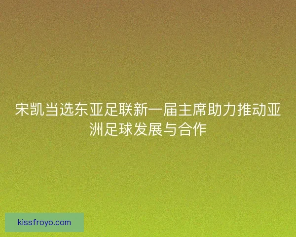 宋凯当选东亚足联新一届主席助力推动亚洲足球发展与合作